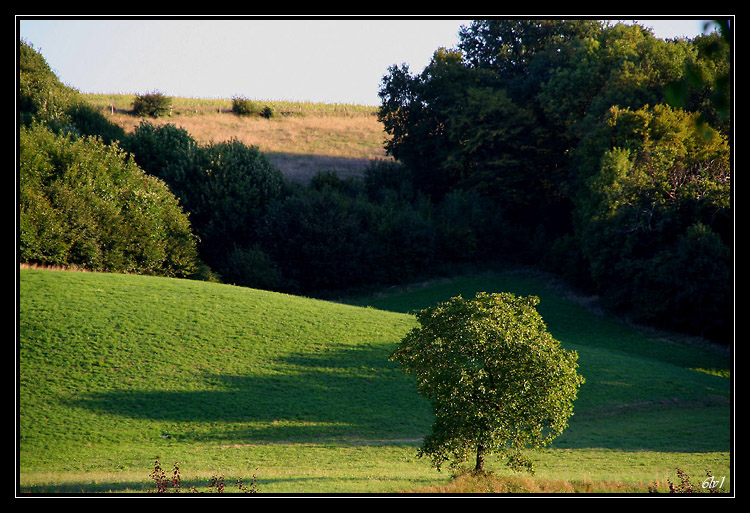 Colline derriere la maison - 20060821 cadre.jpg - Campagne de Septème